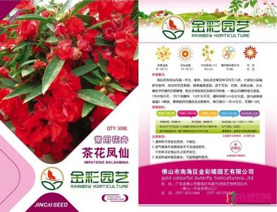 茶花凤仙